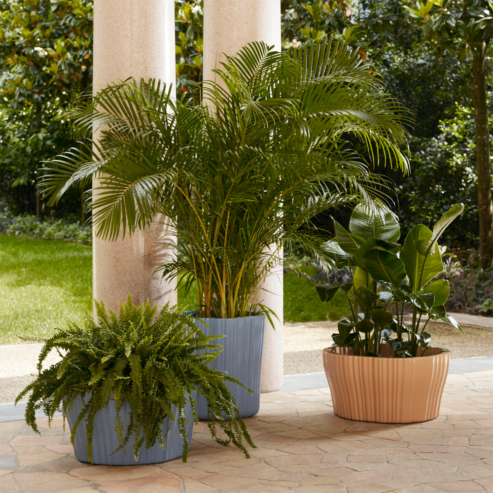 Corteza Großer Übertopf in Anthrazit / Elfenbein / Puder / Flieder / Burgund - Kartell 05223AV / 05223CI / 05223LI / 05222BO / 05223BO / 05223AN - Patricia Urquiola