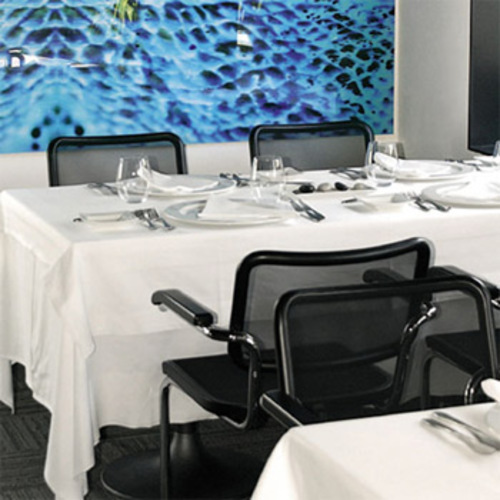 Stahlrohr Klassiker S 64 N Armlehnenstuhl mit Netzbespannung - Thonet - Marcel Breuer Armlehnenfreischwinger