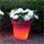 Bloom! Pot 40 Blumentopf - Rot